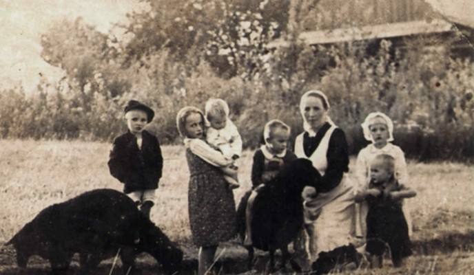 Rodzina Ulmów