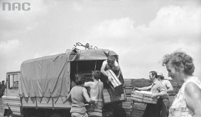 big_1920_img