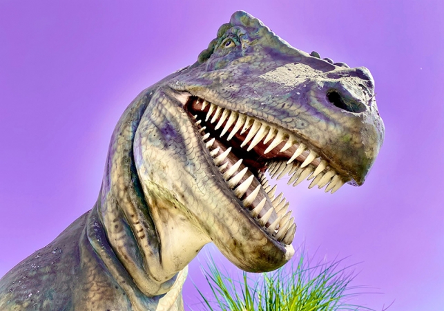 badania dinozaurów