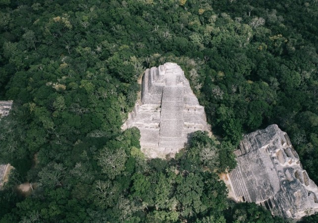 Maya Train