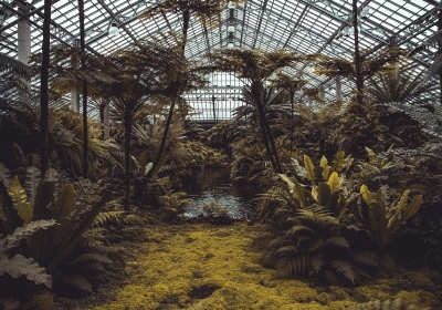 ogrod botaniczny