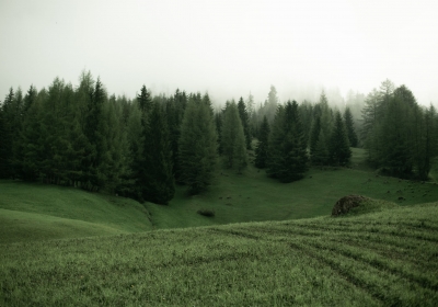 bieszczady