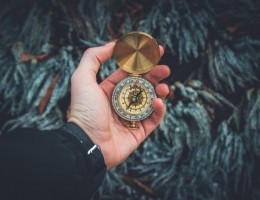 pexels-photo-841286