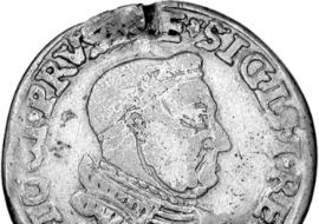 zygmunt stary